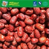 Dried date