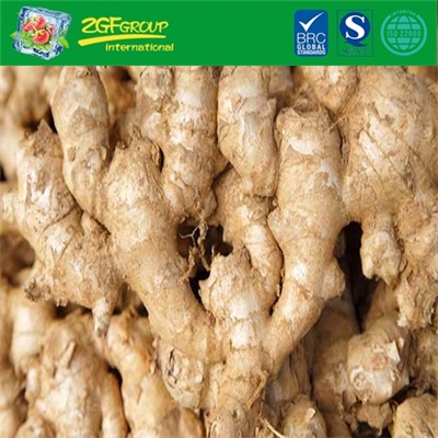 HOT SALE Fresh Ginger
