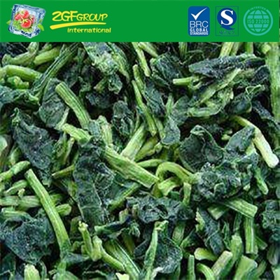HOT SALE IQF whole leaf spinach