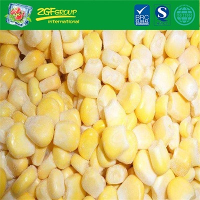 Frozen Sweet Corn Kernels with High Quality
