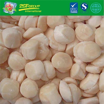 Frozen IQF scallop