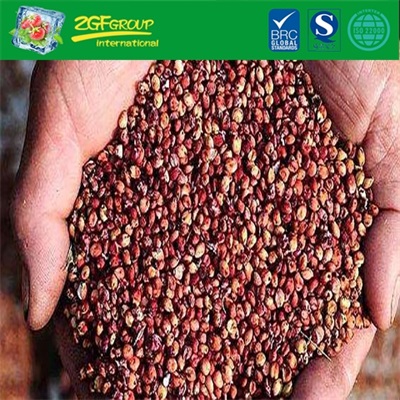High quality Sorghum