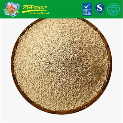 HOT SALE Yeast