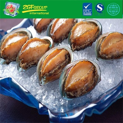 Frozen Instant Abalone
