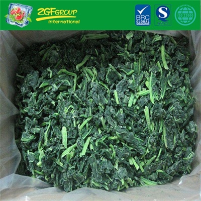 Good quality  IQF diced spinach