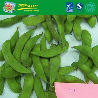 IQF soybean in pods or edamame in pods