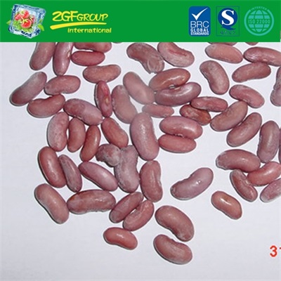 IQF Frozen red kidney bean （england red variety）