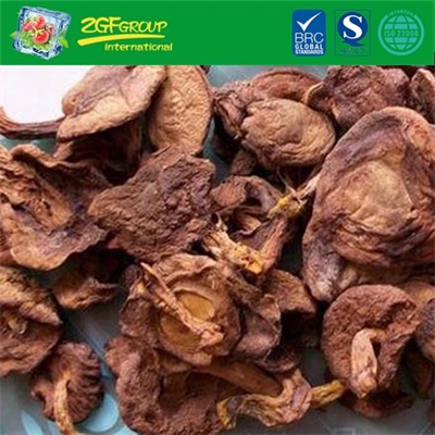 Dried bloetus edulis