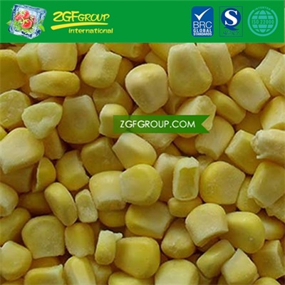 New Crop IQF sweet corn harvester for sale