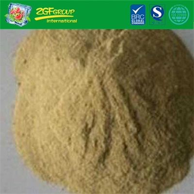 Yeast