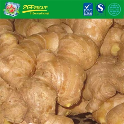 Fresh Ginger