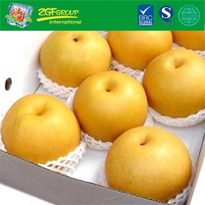 Fresh fengshui pear