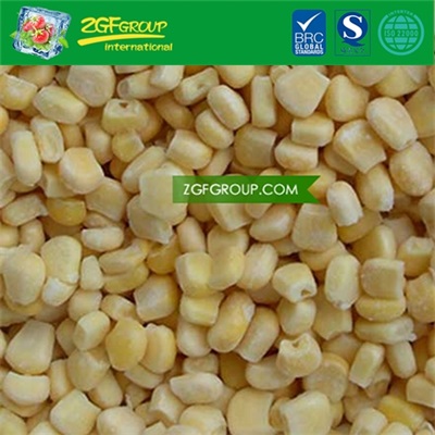 New Crop IQF sweet corn kernals