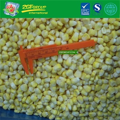 New Crop IQF vacuum sweet corn