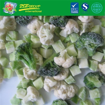 frozen vegetable IQF winter blend