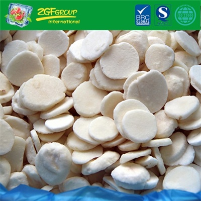 Frozen vegetable IQF sliced water chestnuts