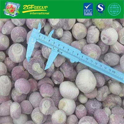 Hot sale IQF whole shallot 20-40mm