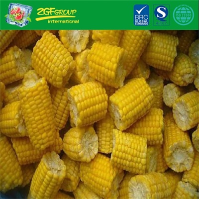IQF Frozen Cut Sweet Corn Cob