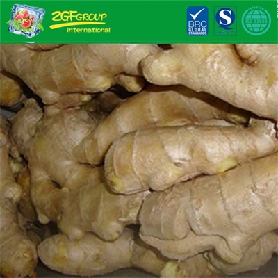 Fresh Ginger