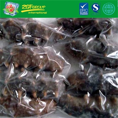 Delicious Instant Sea Cucumber