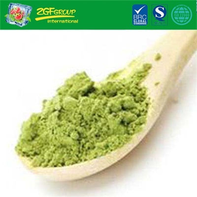 Instant Mung Bean Drink Powder