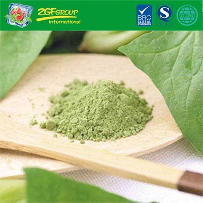 Instant Spinach Drink Powder