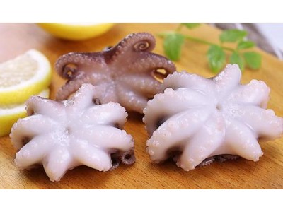 Frozen baby octopus
