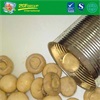 Hot Sale Canned white button mushroom