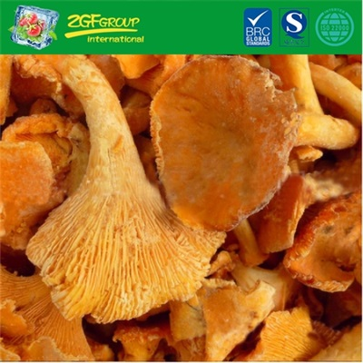 Good Grade Frozen IQF Chanterelle