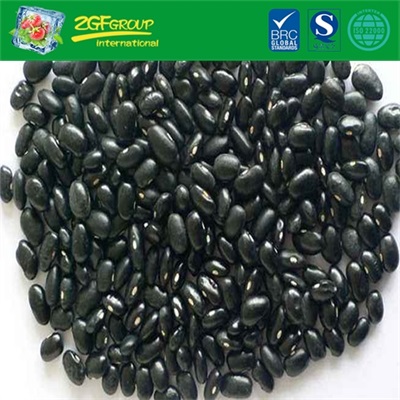 2019 New Crop Dry Black Kidney Beans