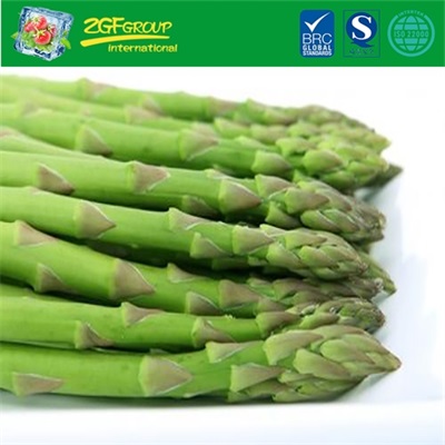 Fresh Green Asparagus With Cheap Price