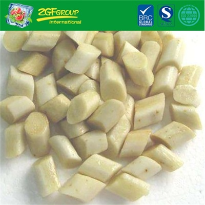 IQF Frozen Burdock Chunks For Sale