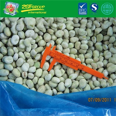 New Season IQF Baby Broad Bean