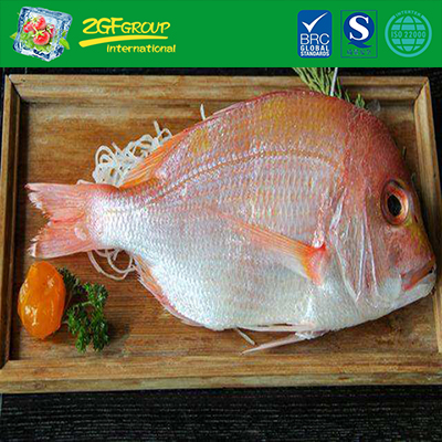 Frozen Luminous Bream
