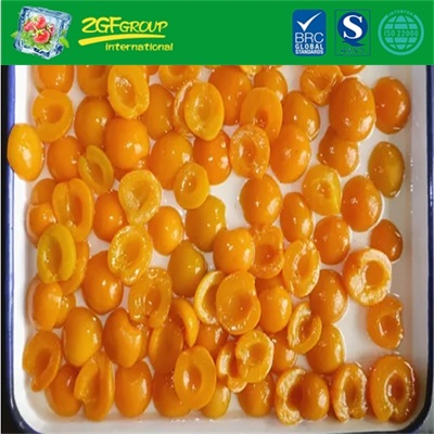 Canned Apricot Halves in Light Syrup