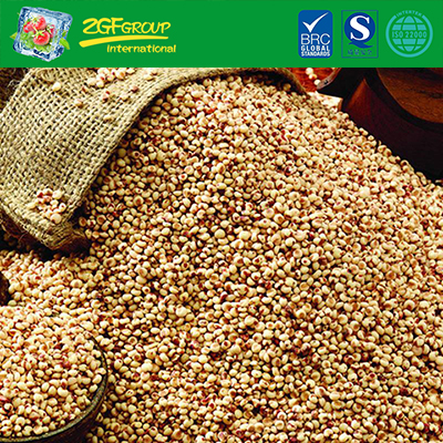 Sorghum From China