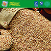 Sorghum From China