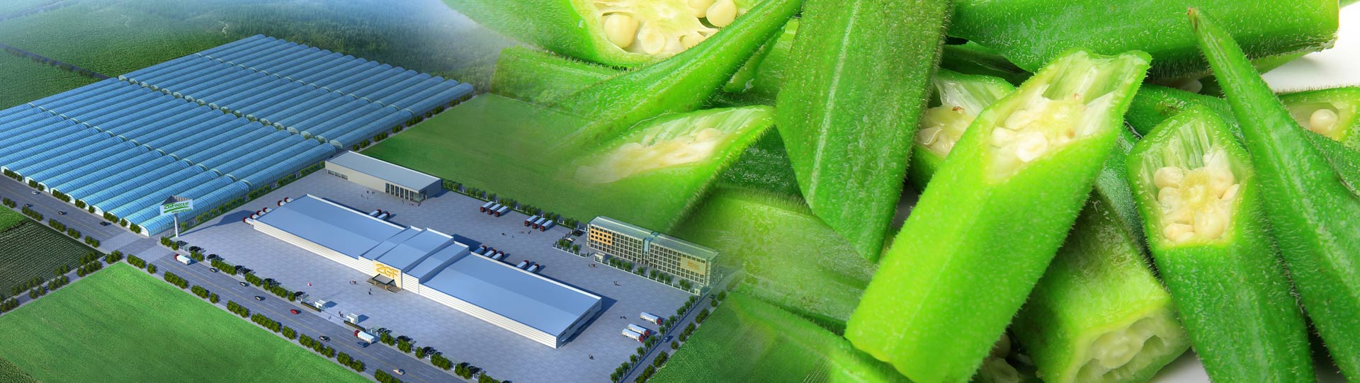 zgf factory