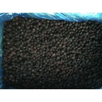 Good Taste Frozen Fruits IQF Black Currant