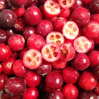 2025 New Crop Frozen Cranberry