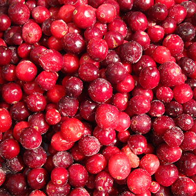 Frozen Fruits IQF Cranberry
