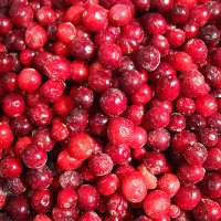 Frozen Fruits IQF Cranberry