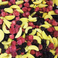IQF Mixed Fruit