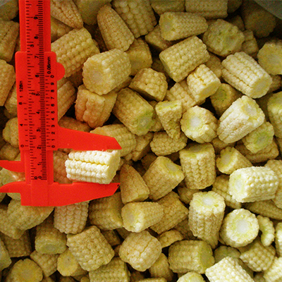 Frozen Vegetable IQF Cut Baby Corn L 2-4cm dia 8-22mm
